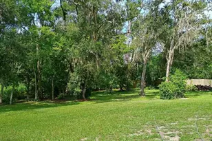 2401 Tangerine Hill Ct, Lutz, FL 33549 - Photo 48