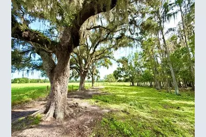8206 Back Road, Plant City, FL 33565 - Photo 38