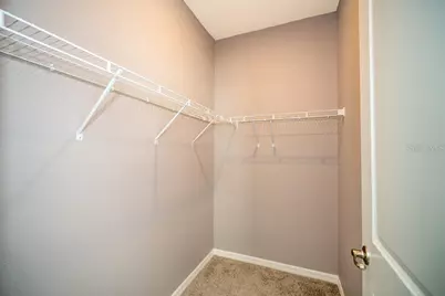 3115 Canopy Oak Blvd, Wildwood, FL 34785 - Photo 36
