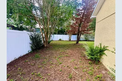 5634 Whitebark Drive, Wesley Chapel, FL 33543 - Photo 26