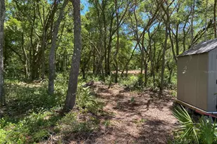 36064 Butternut Dr, Ridge Manor Estates, FL 33597 - Photo 28