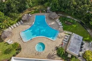168 Beechwood Dr, Safety Harbor, FL 34695 - Photo 32