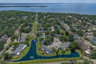 1334 Wickford St, Safety Harbor, FL 34695 - Photo 38