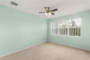 10306 Stone Moss Ave, Tampa, FL 33647 - Photo 20