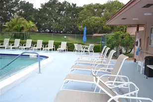 161 Lakeside Dr, Oldsmar, FL 34677 - Photo 44