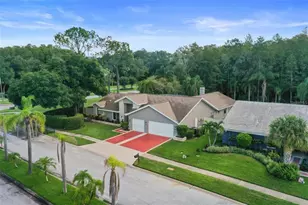 3297 Valemoor Dr, Palm Harbor, FL 34685 - Photo 26