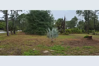 Perennial Road, North Port, FL 34291 - Photo 4