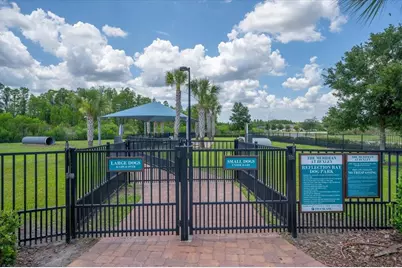 19133 Ship Wheel Way, Land O Lakes, FL 34638 - Photo 48