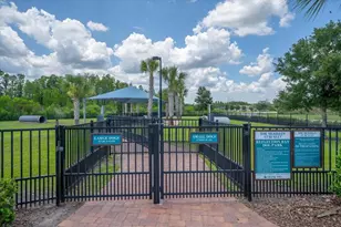 19133 Ship Wheel Wy, Land O Lakes, FL 34638 - Photo 48