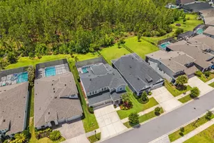 3497 Tour Trce, Land O Lakes, FL 34638 - Photo 74