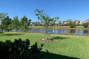 6234 Colmar Pl, Apollo Beach, FL 33572 - Photo 22