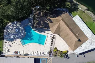 970 Virginia St, Dunedin, FL 34698 - Photo 16
