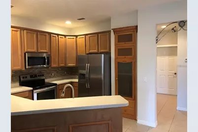 140 Shell Falls Drive, Apollo Beach, FL 33572 - Photo 2