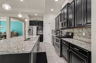 204 Shell Creek Ct, Apollo Beach, FL 33572 - Photo 14