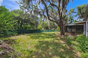 8603 Alafia Ridge Rd, Riverview, FL 33569 - Photo 8