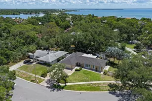 3330 San Domingo St, Clearwater, FL 33759 - Photo 38