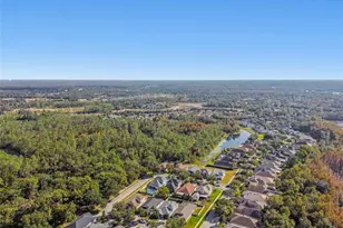 21753 Garden Walk Loop, Land O Lakes, FL 34637 - Photo 42
