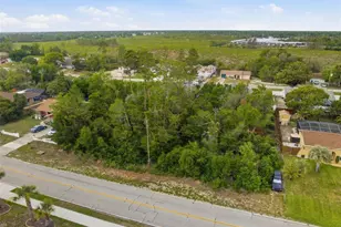 6019 Freeport Dr, Spring Hill, FL 34606 - Photo 6