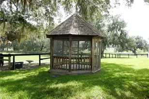 30841 Deer Run, Dade City, FL 33523 - Photo 6