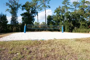 505 Lady Irelyn Ct, Deland, FL 32724 - Photo 44