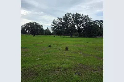 Vernon Dairy, Spring Hill, FL 34610 - Photo 2