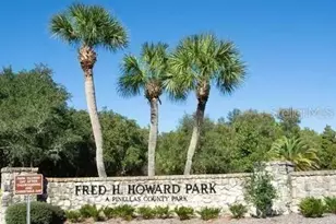 1250 S Pinellas Ave, Tarpon Springs, FL 34689 - Photo 38