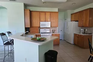 1161 Jameson Greens Dr, Sun City Center, FL 33573 - Photo 10