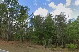 796 N Kensington Ave, Lecanto, FL 34461 - Photo 1