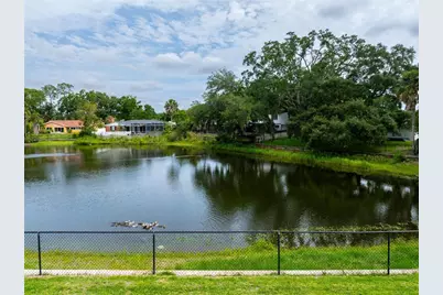 3605 Schefflera Road, Tampa, FL 33618 - Photo 46