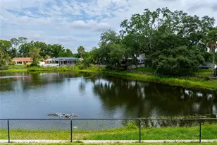 3605 Schefflera Rd, Tampa, FL 33618 - Photo 46