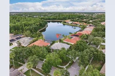 10232 Estuary Drive, Tampa, FL 33647 - Photo 4