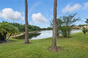 10232 Estuary Dr, Tampa, FL 33647 - Photo 30