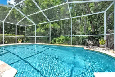 17738 Nathans Drive, Tampa, FL 33647 - Photo 2