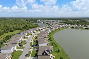 2908 Storybrook Preserve Dr, Odessa, FL 33556 - Photo 54