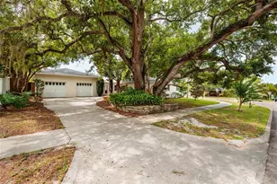 325 Orangeview Ave, Clearwater, FL 33755 - Photo 34