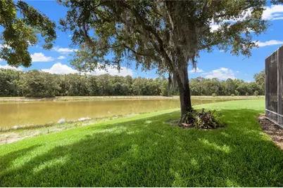 19109 White Wing Place, Tampa, FL 33647 - Photo 44