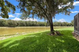 19109 White Wing Pl, Tampa, FL 33647 - Photo 44