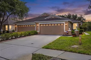 19109 White Wing Pl, Tampa, FL 33647 - Photo 1