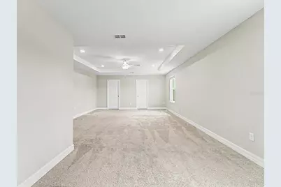 9475 Ibis Grove Boulevard, Wesley Chapel, FL 33545 - Photo 62