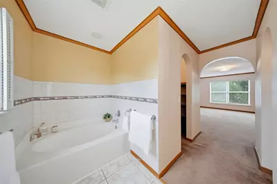 24945 Ravello Street, Land O Lakes, FL 34639 - Photo 52
