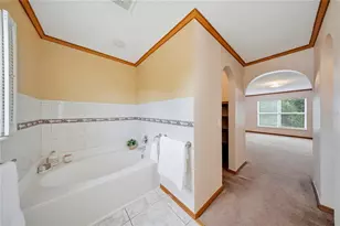 24945 Ravello St, Land O Lakes, FL 34639 - Photo 52