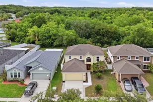 24945 Ravello St, Land O Lakes, FL 34639 - Photo 6