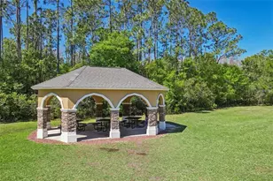 2919 Devonoak Blvd, Land O Lakes, FL 34638 - Photo 34