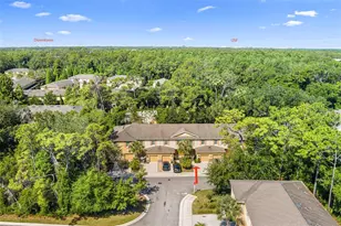 13922 Snapper Fin Ln, Tampa, FL 33637 - Photo 44