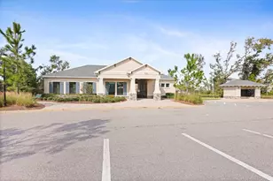 12011 MIracle Mile Dr, Riverview, FL 33578 - Photo 22