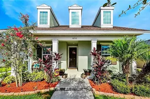 5253 Suncatcher Dr, Wesley Chapel, FL 33545 - Photo 1