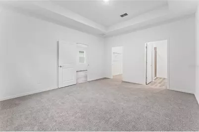 31351 Paper Birch Street, Wesley Chapel, FL 33545 - Photo 18