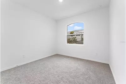 31351 Paper Birch Street, Wesley Chapel, FL 33545 - Photo 28