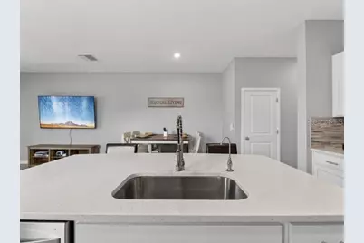 416 Mangrove Shade Circle, Apollo Beach, FL 33572 - Photo 16