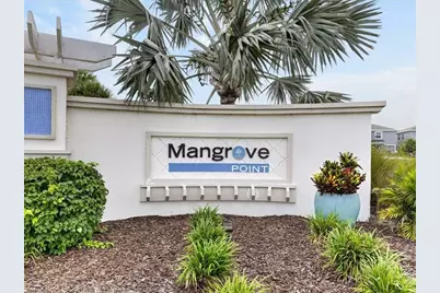 416 Mangrove Shade Circle, Apollo Beach, FL 33572 - Photo 54